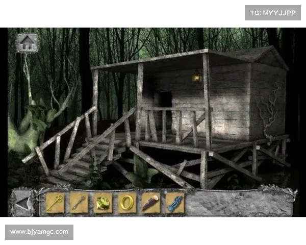 隐匿洞穴行动五大核心技术支持与实施策略分析 隐匿洞穴行动五大核心技术支持与实施策略分析