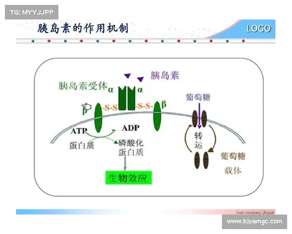 冰虫鳞片的微观结构与功能机制探究及其生物学意义分析 冰虫鳞片的微观结构与功能机制探究及其生物学意义分析