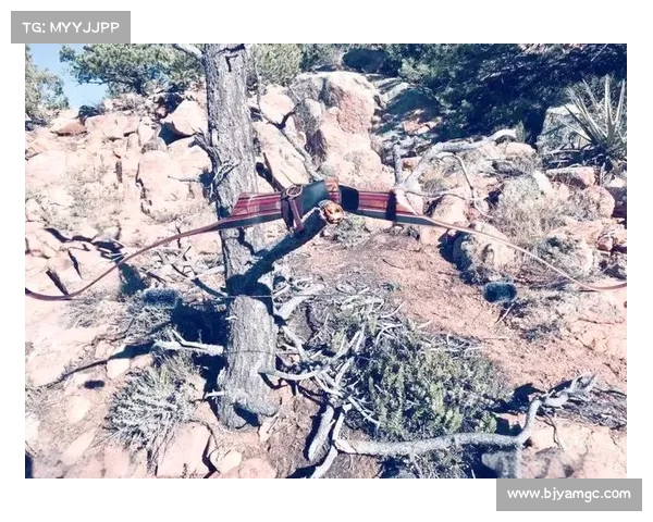 奥运会弓箭比赛的魅力与历史揭秘深度解析规则与发展轨迹