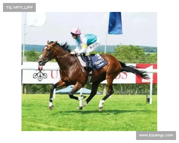 奥运赛场乒乓球与田径双雄对决荣耀时刻展现竞技巅峰